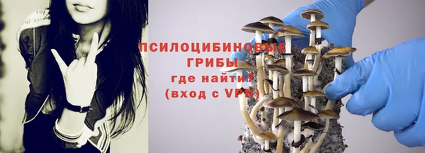 крисы Балабаново