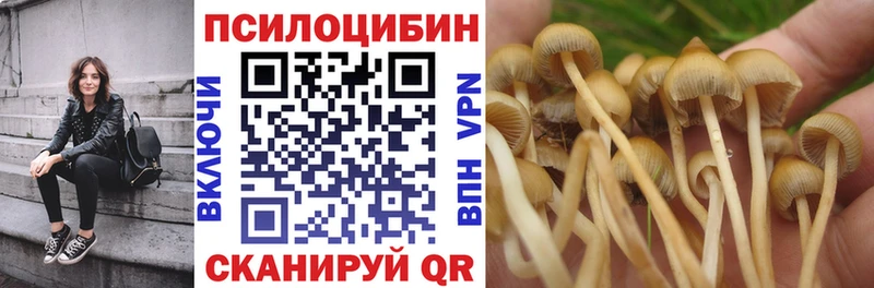 Псилоцибиновые грибы ЛСД  даркнет сайт  Сенгилей 