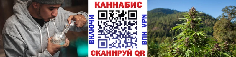 Шишки марихуана гибрид  наркота  Сенгилей 
